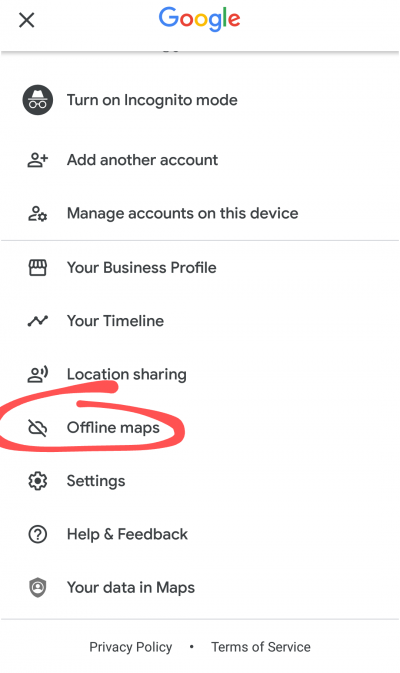Google offline maps selection