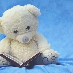 Teddy bear reading
