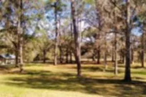 Historic Indian Mounds at Lake Jackson