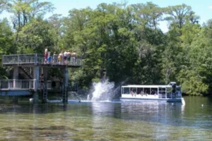 Wakulla Springs